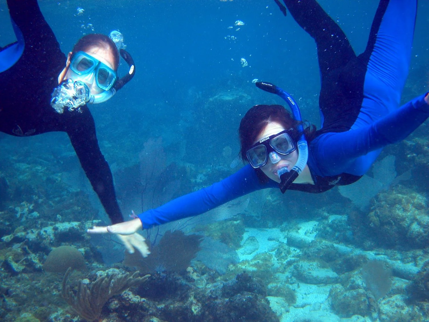 Snorkeling - SS Size.jpeg