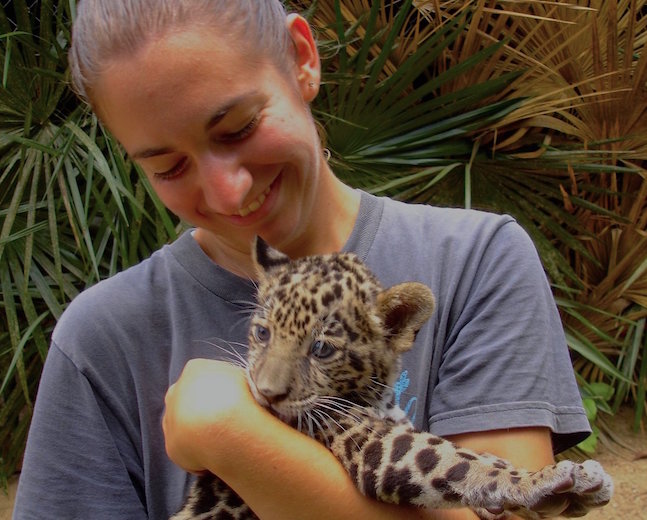 Belize Zoo Jaguar Cub - SS Size.jpeg
