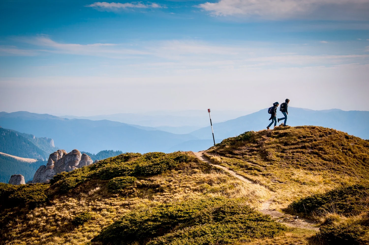 Hiking - SS Size.jpeg