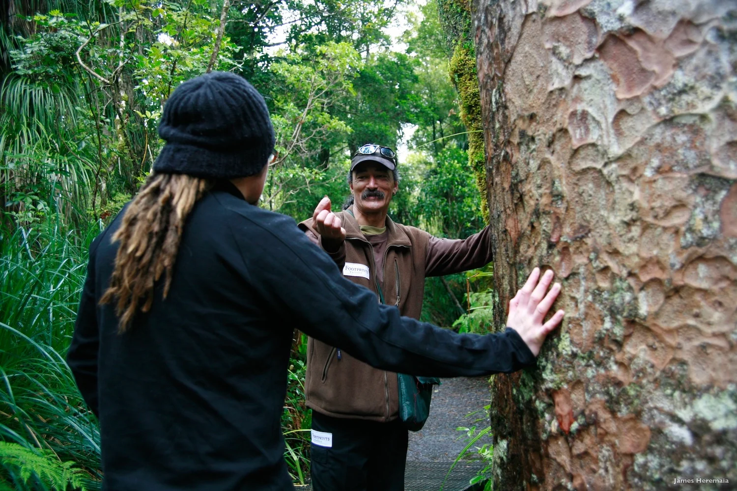 Waipoua Forest - SS Size.jpeg