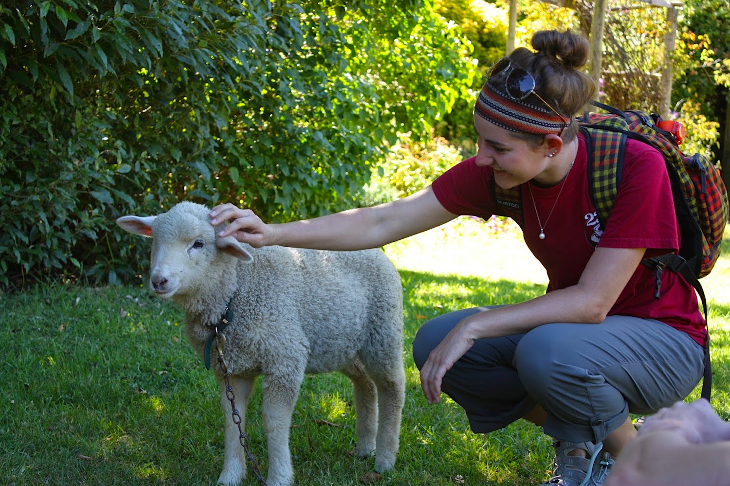 Lamb Petting.JPG