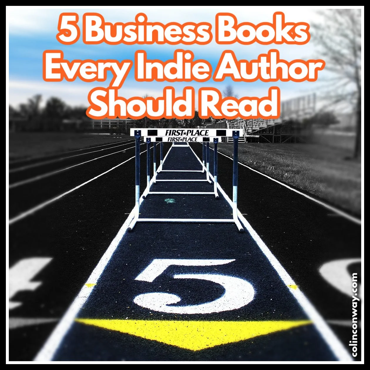 5 Business Books Every Indie Author Should Read