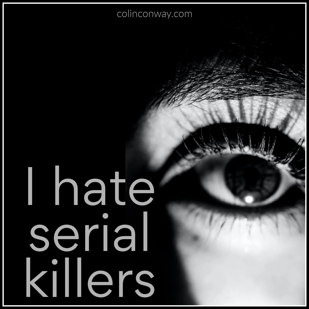 I Hate Serial Killers