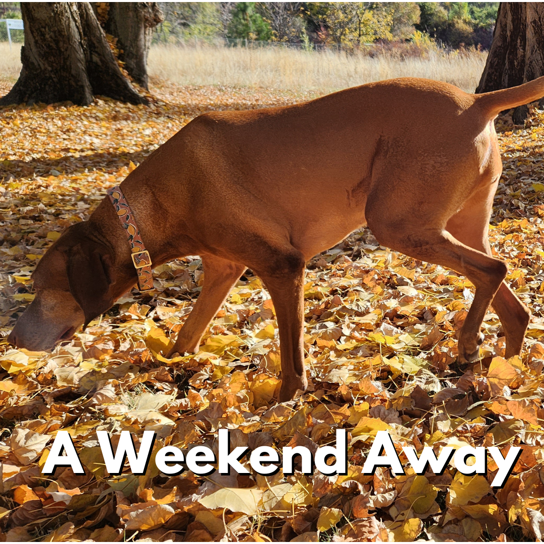 A Weekend Away