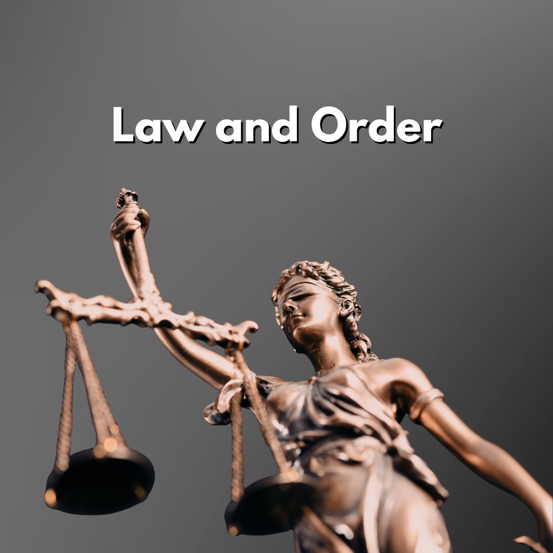 Law and Order: The Divide Between Civil and Criminal Justice