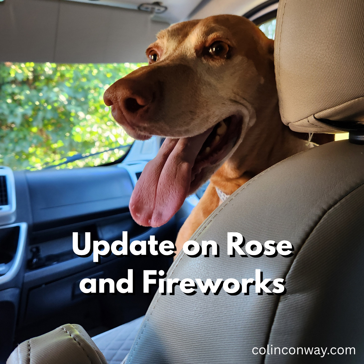 Update on&nbsp;Rose and Fireworks