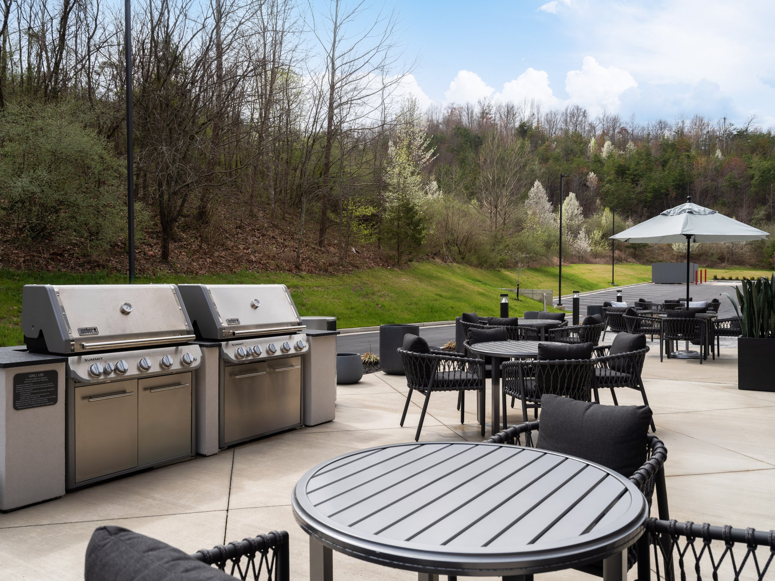lexct lexcf weber grills.jpg