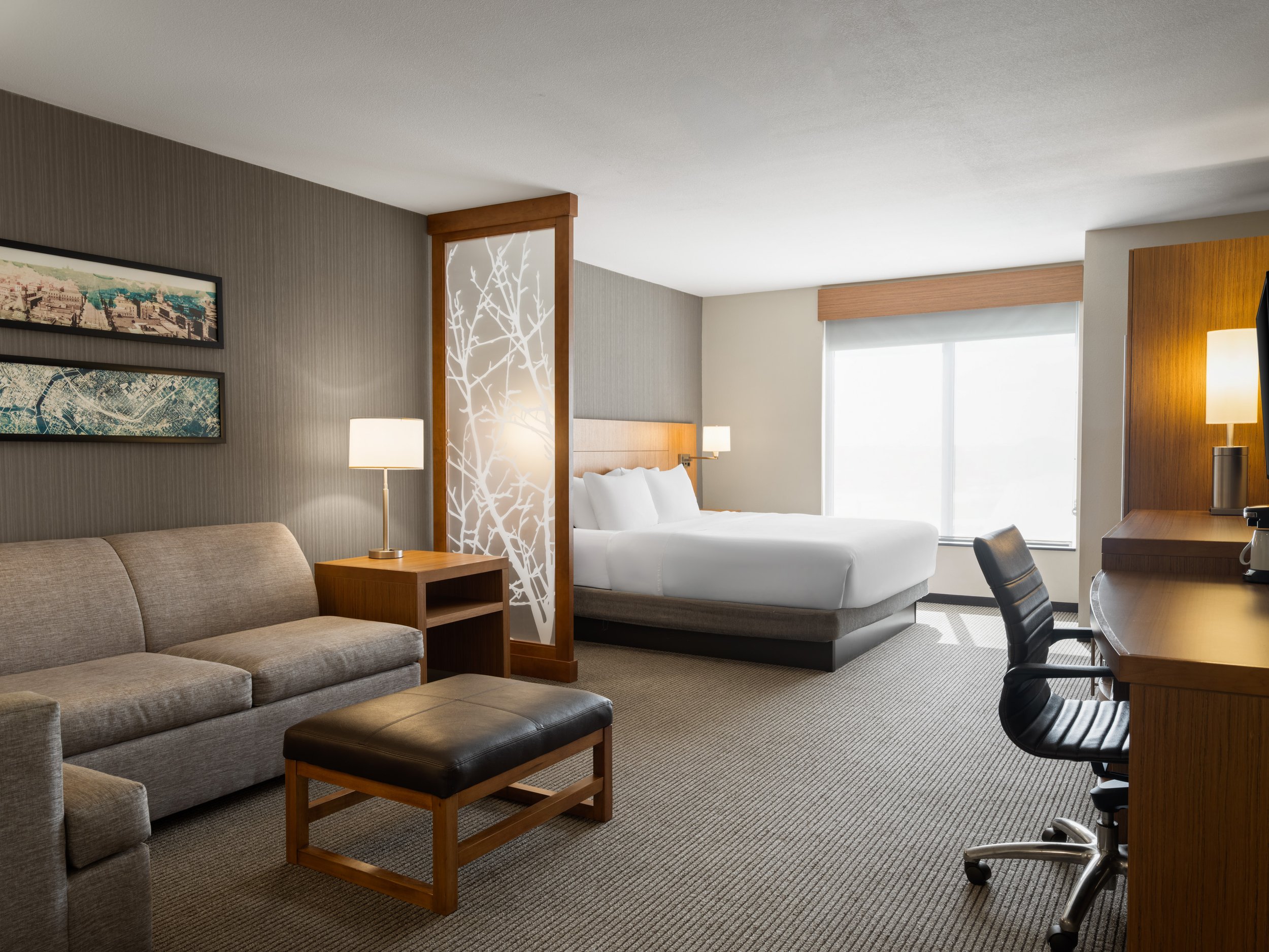 dsmzw hyatt place west des moines rm411 hflk 1.jpg