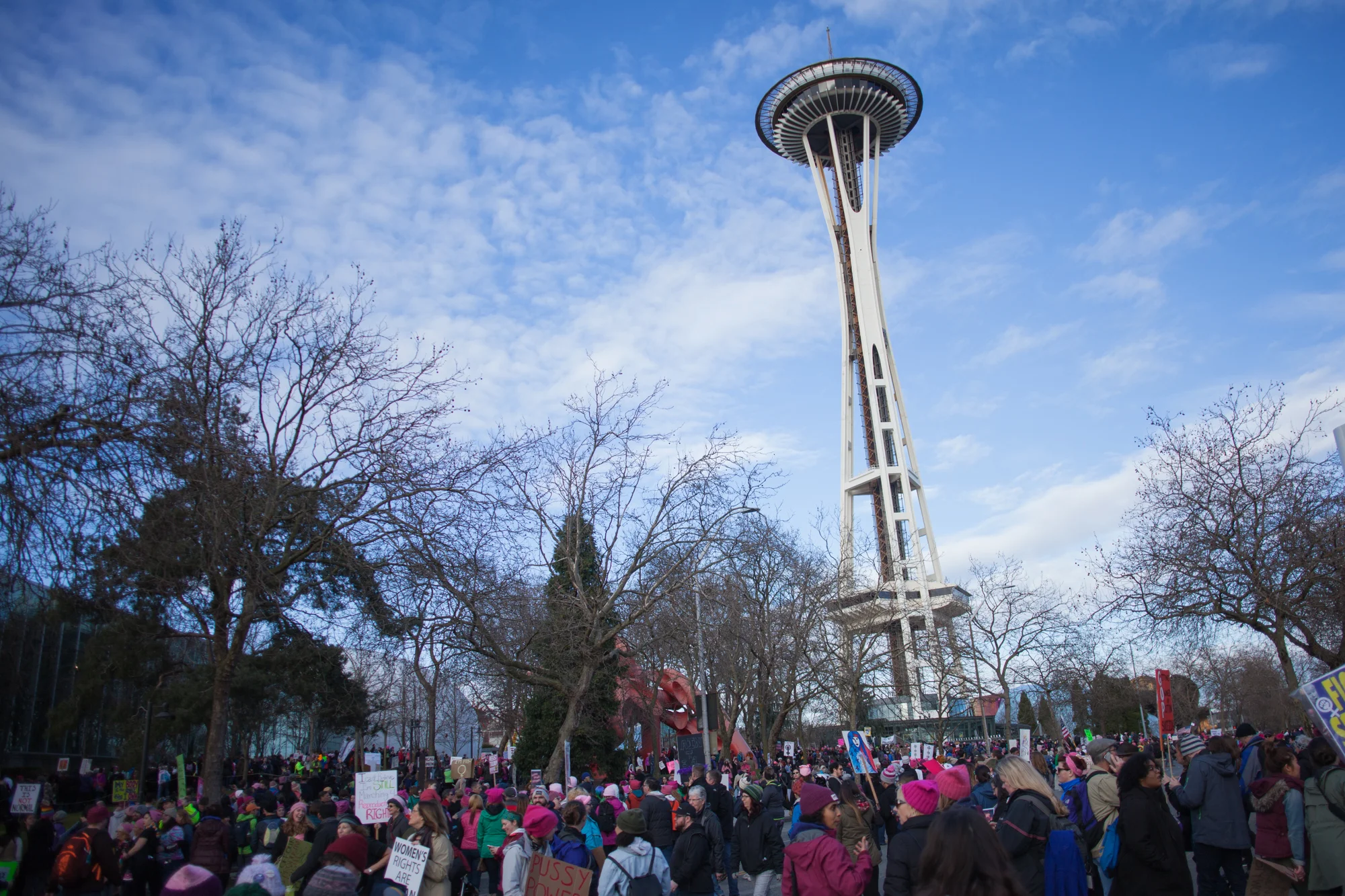 Woman's March on Washington 2017 - Seattle