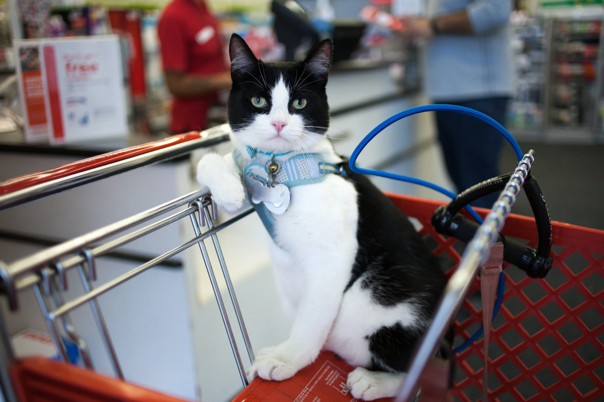 untitled (16 of 1).jpg