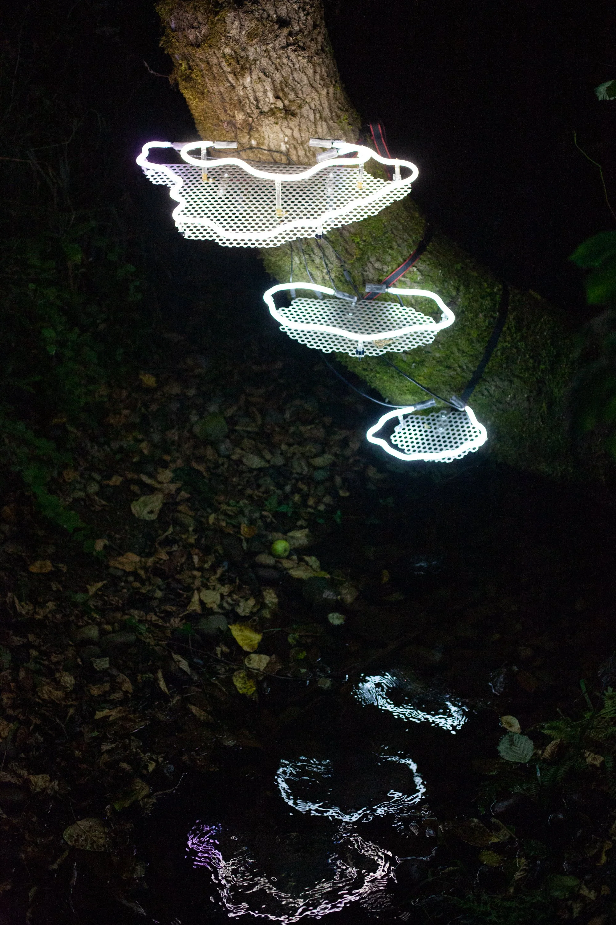 Lusio Lights Festival 2022