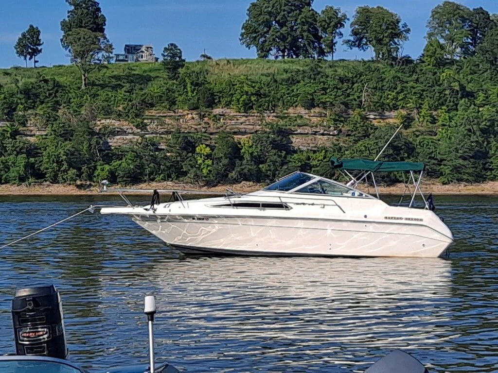 imagejpeg_0(33).jpg