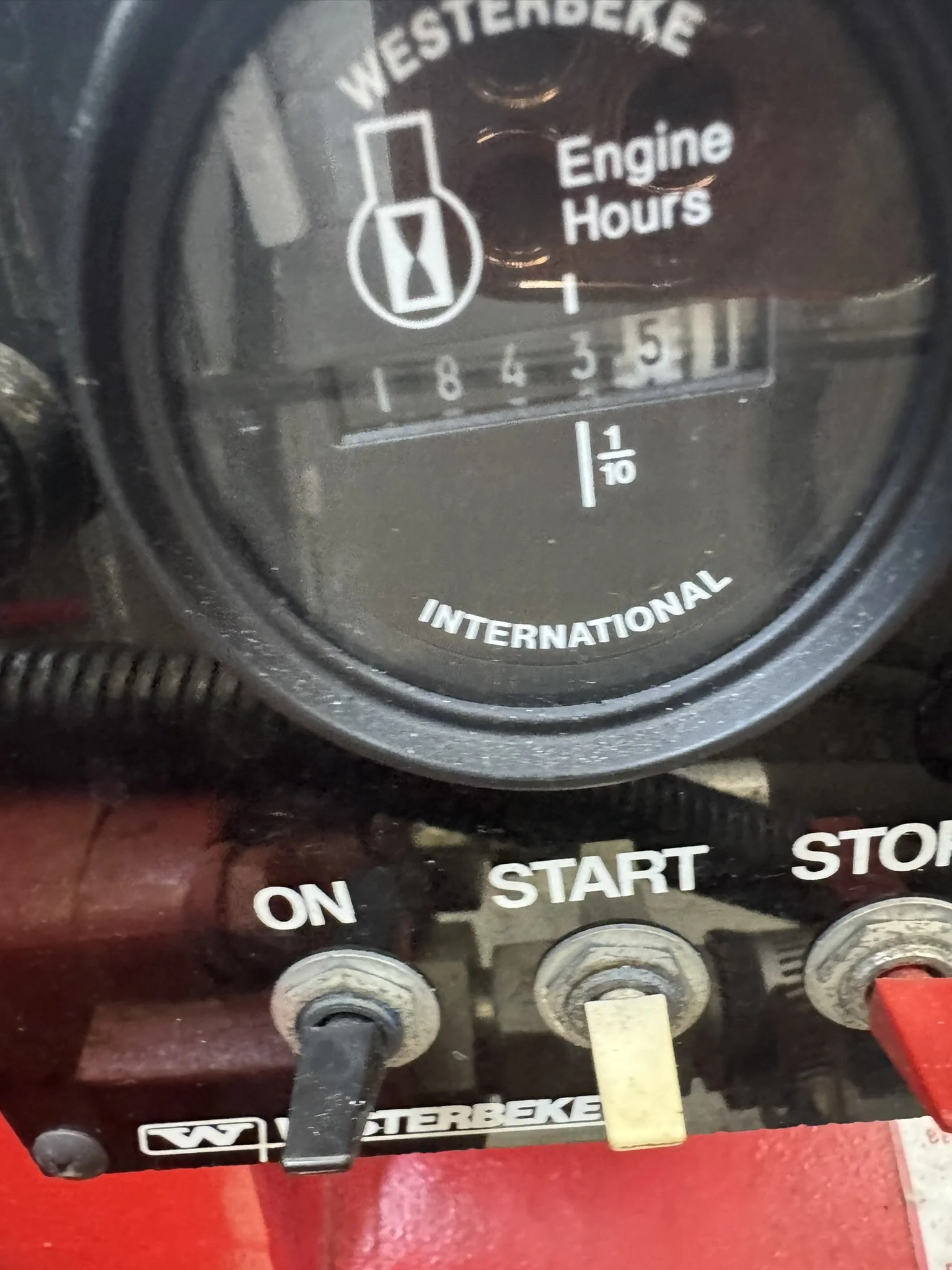IMG_3887.JPEG