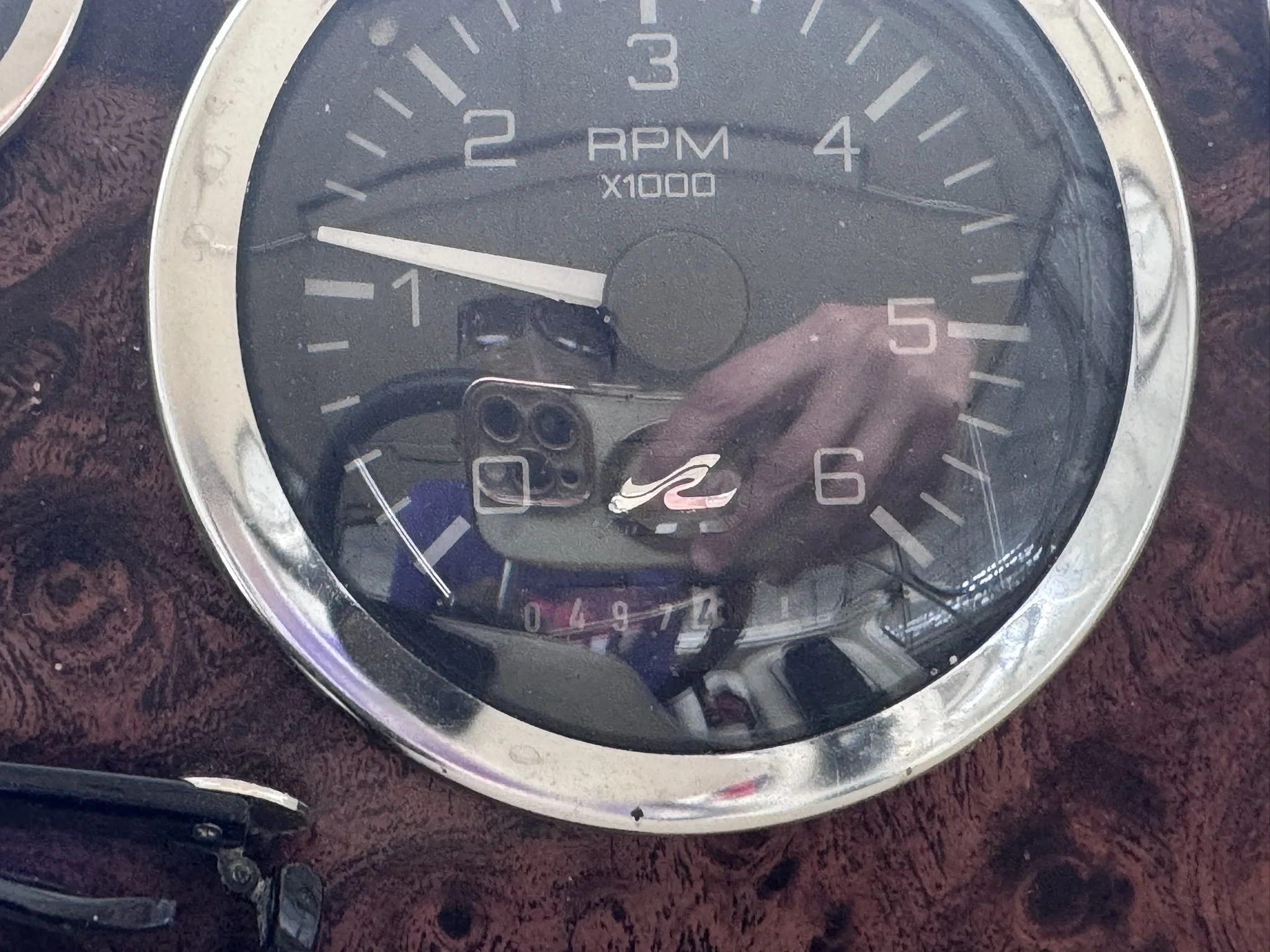 IMG_5997.JPEG