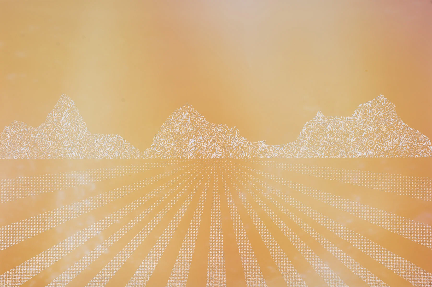 The Explorers #34, Pigment print scratched with a razor, 24”x36”, 2018