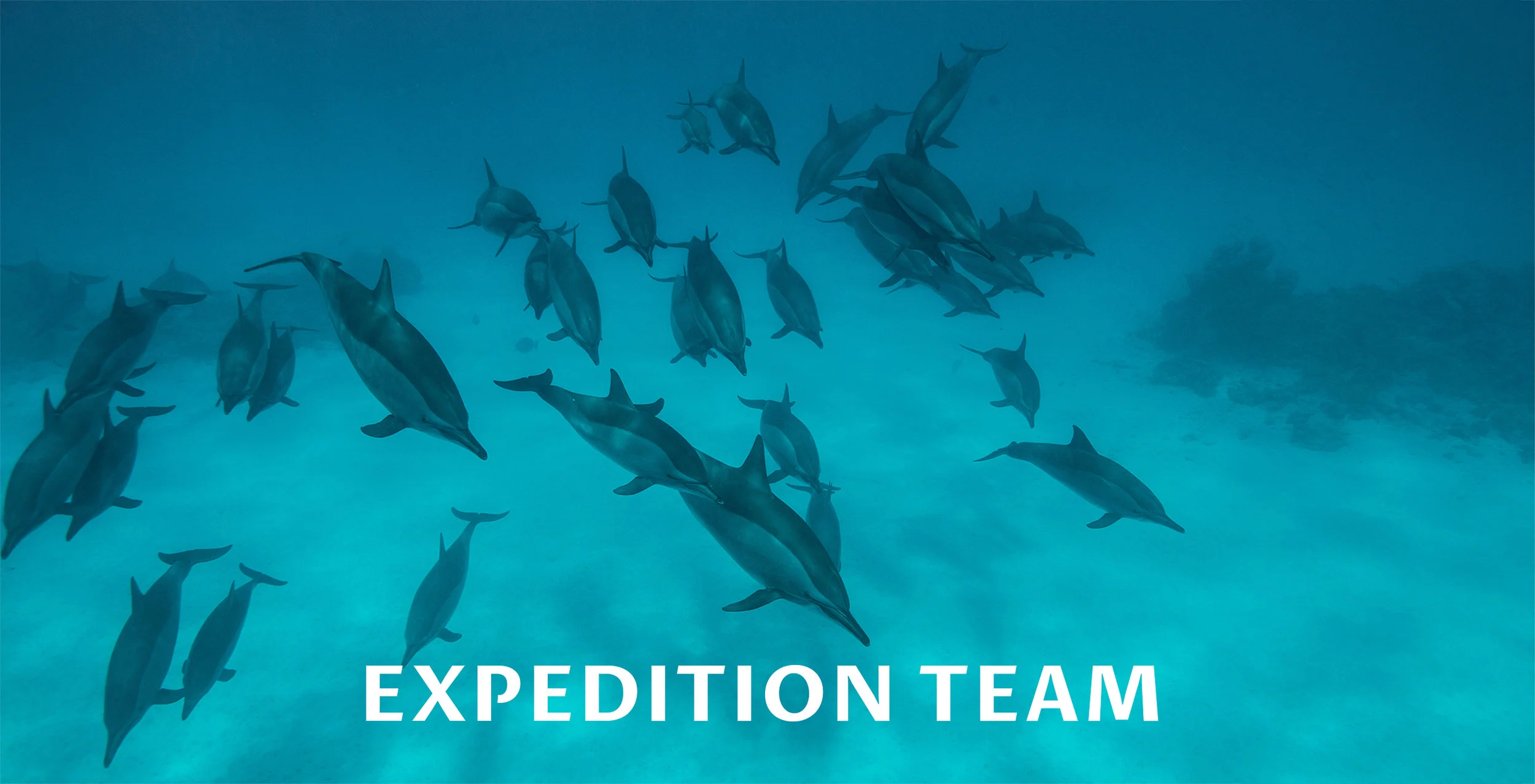 Team-.jpg