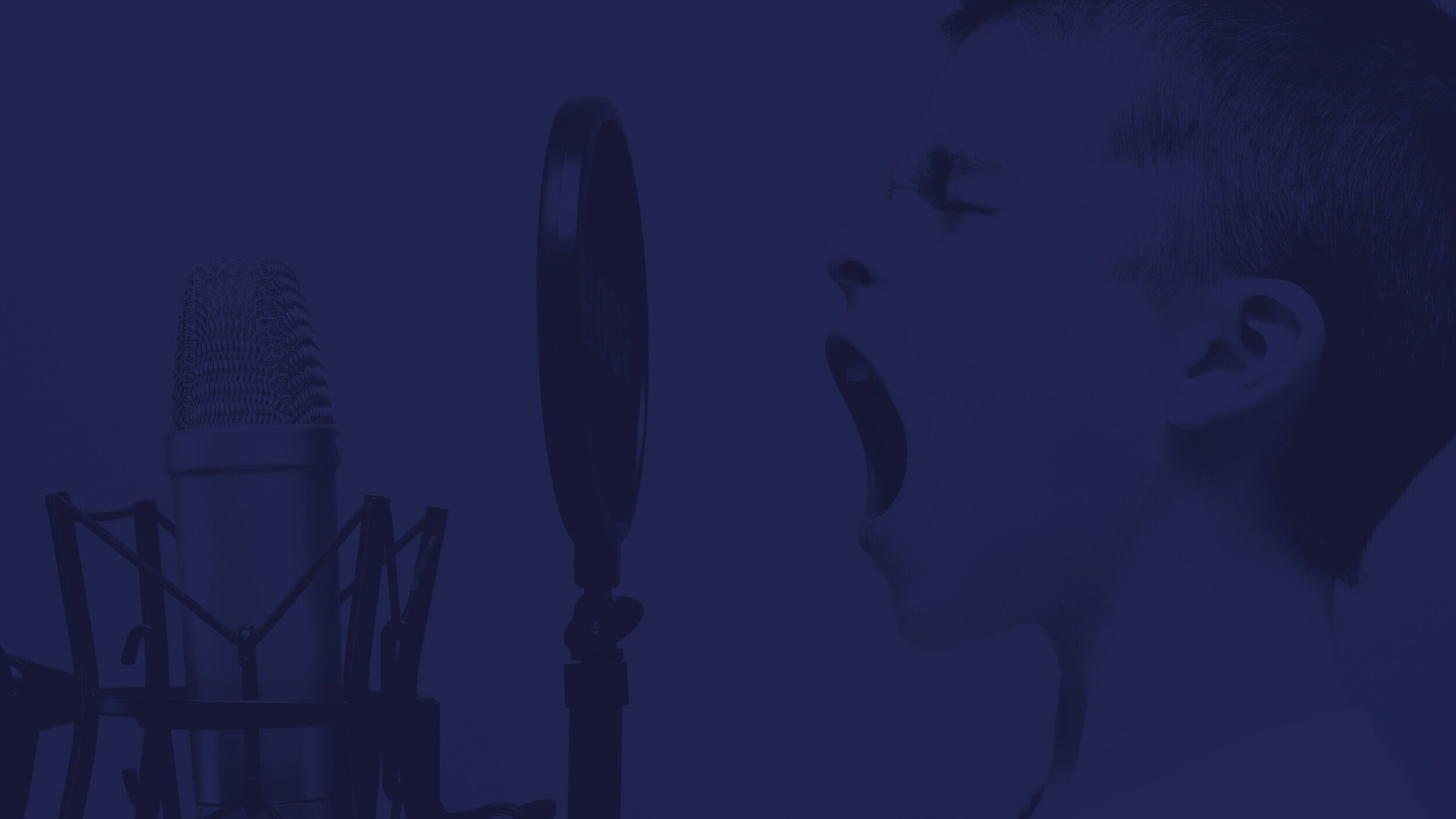 mic.jpg