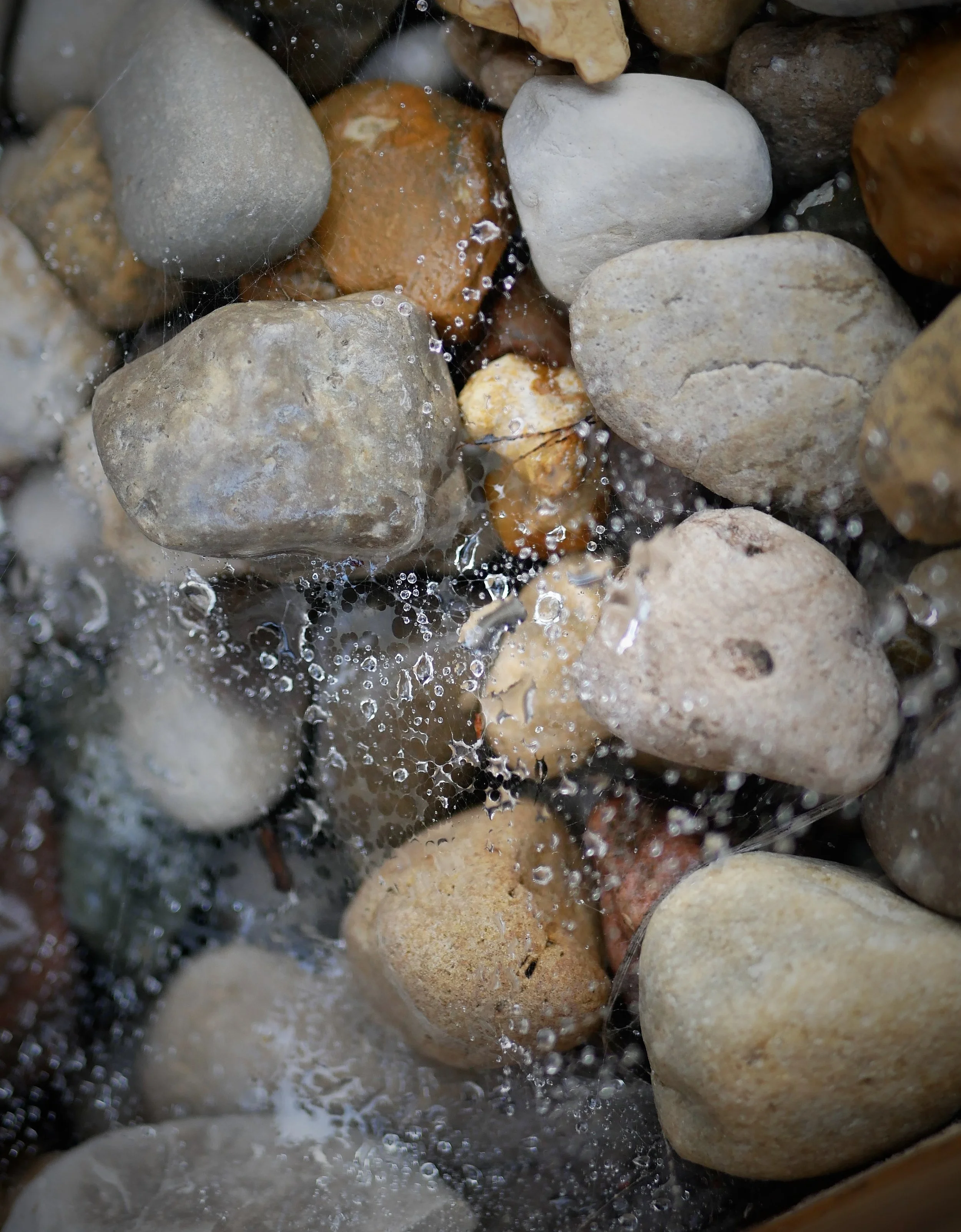 Water Web &amp; Stones, Indianapolis