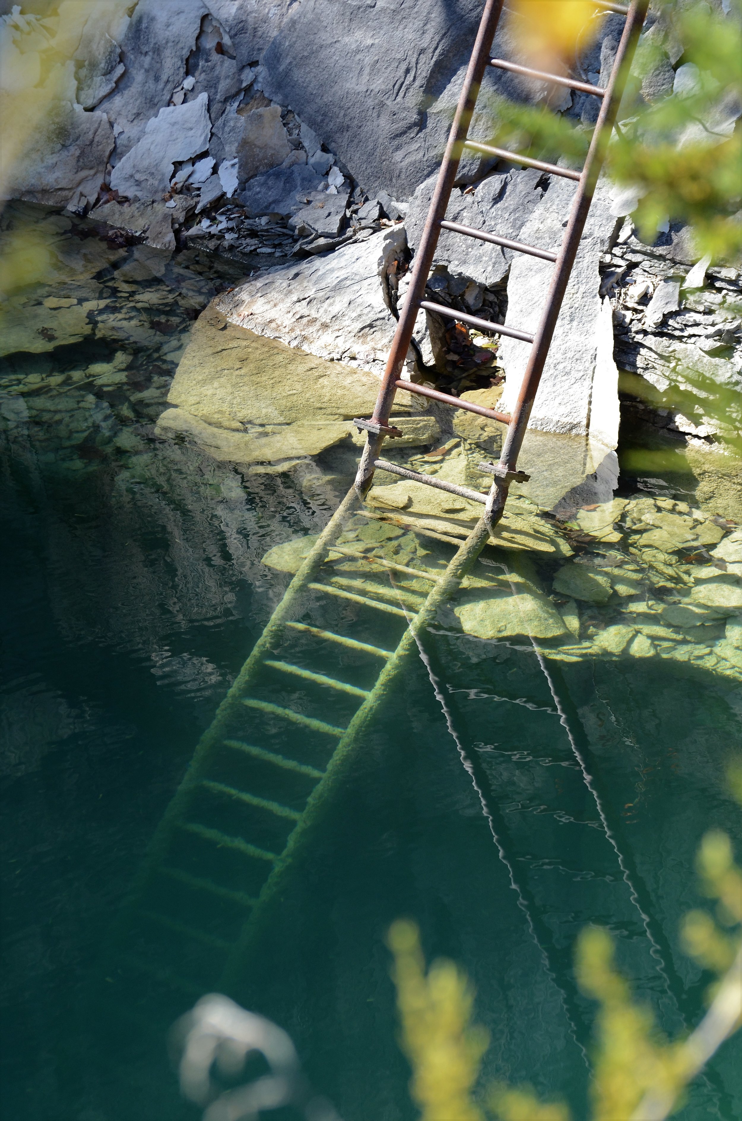 4 Submerged Ladder.JPG