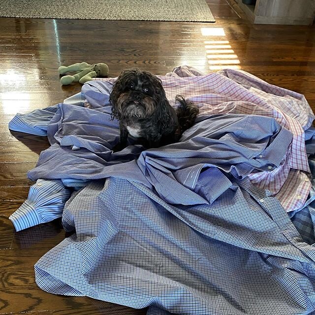 Cleaning out my husband&rsquo;s closet and getting donations, dry cleaning and summer stuff ready. Huey loves helping 😂#summercleanout #workclothesswag #drycleaning #kindredorganizing #organizingcloset #organizingclothes #organizingtherapy #iloveorg