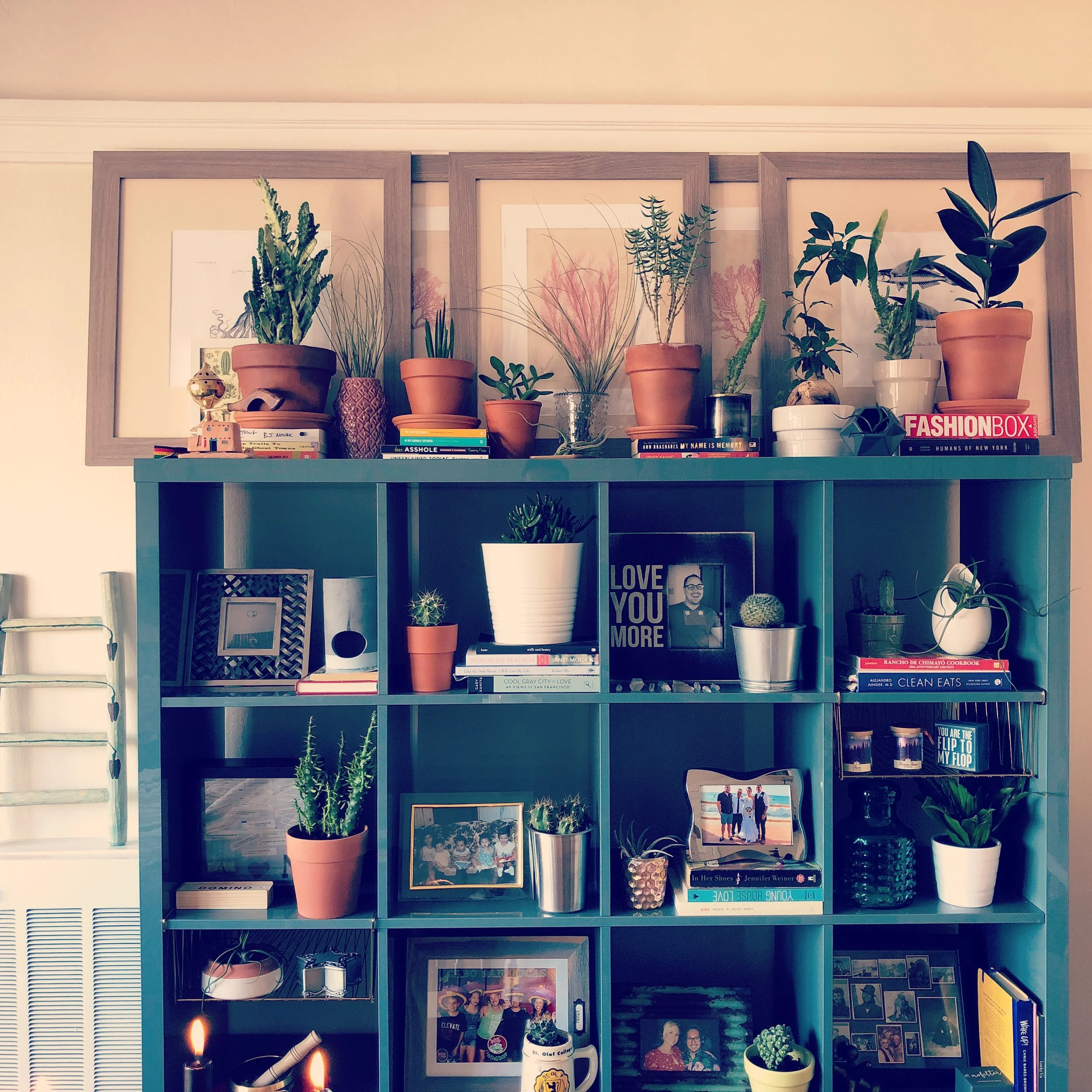 Tender heart, Tender home.