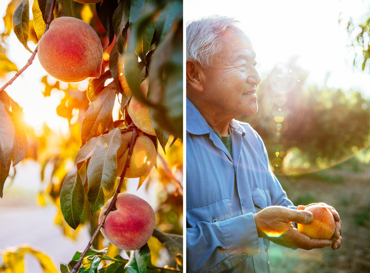 The Sweetest Peaches Come From this Family 