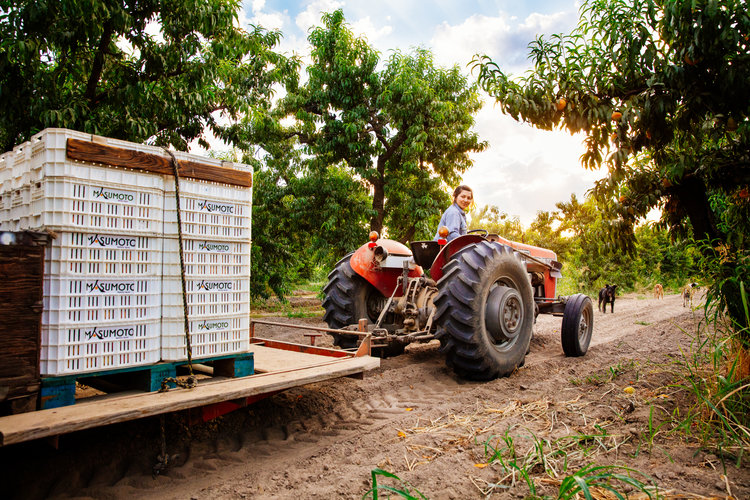 What It’s Like to Be a Mixed-Race, Queer, Feminist Farmer