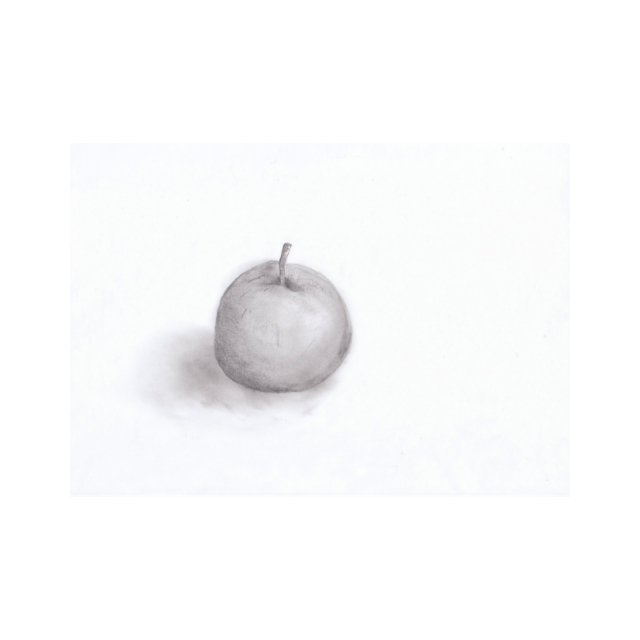 It Took Me 23 Years to Draw an Apple (2013)