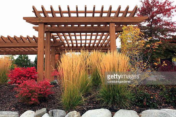 Photo by constantgardener/iStock / Getty Images