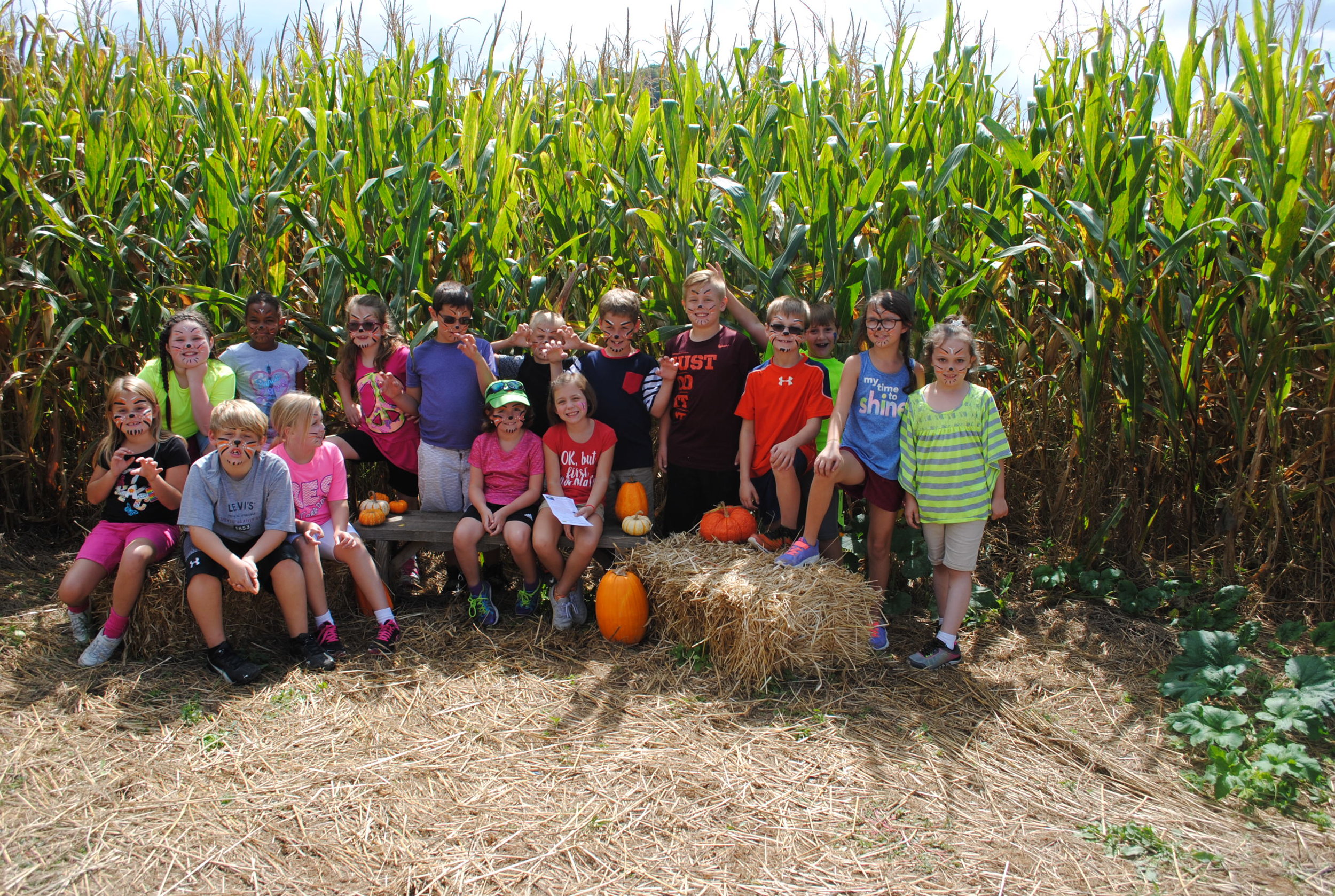 Crab Orchard Corn Maze — Historic Crab Orchard Museum