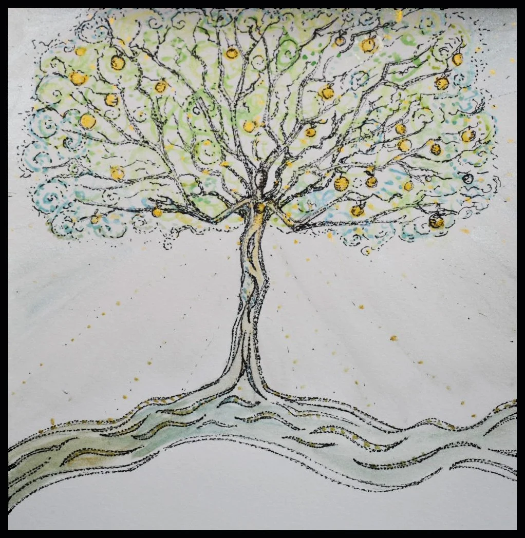 Matt tree.jpg