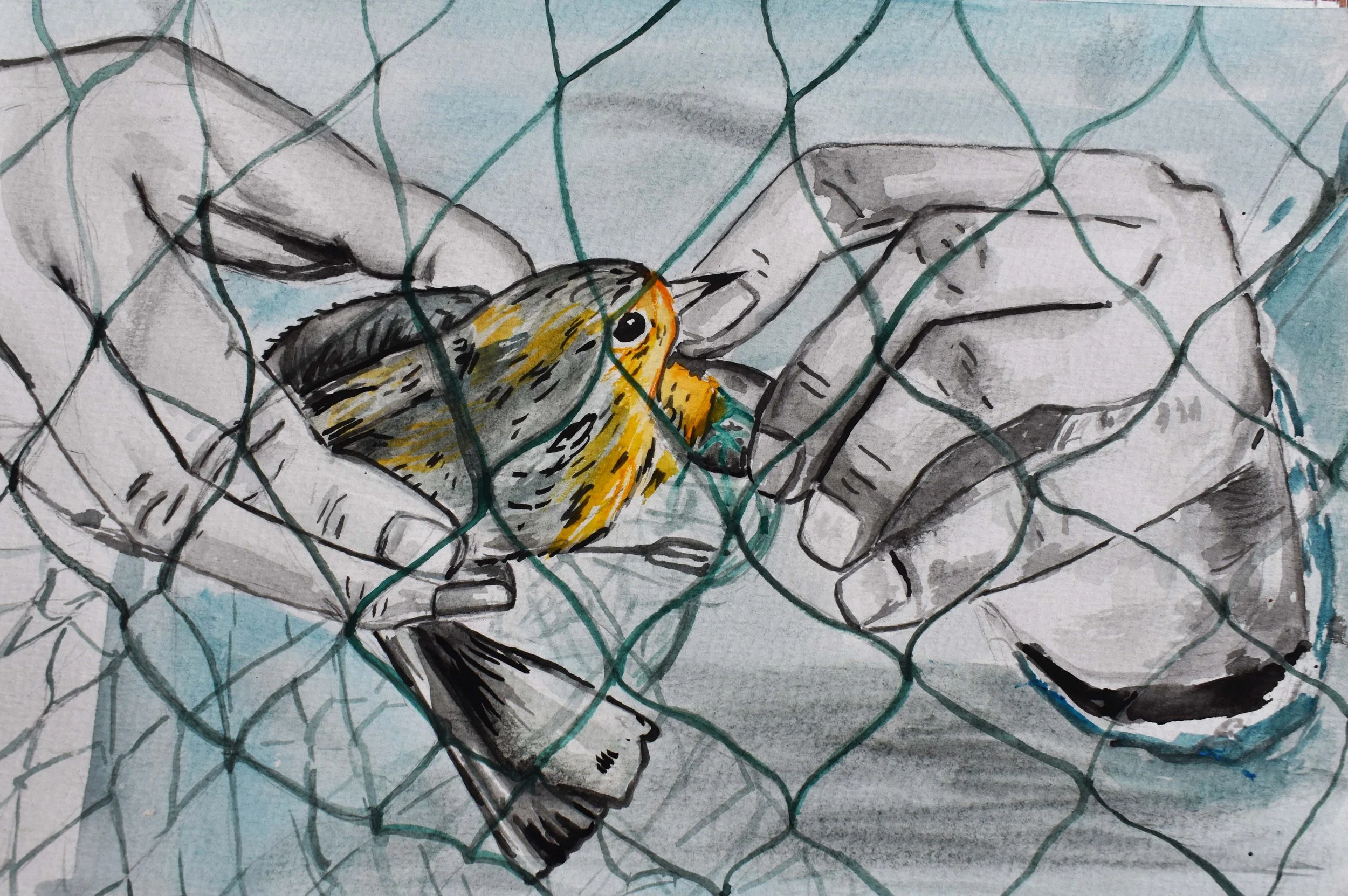 BIrd2.jpg