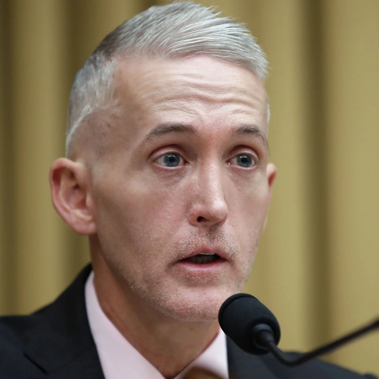 trey_gowdy.jpg