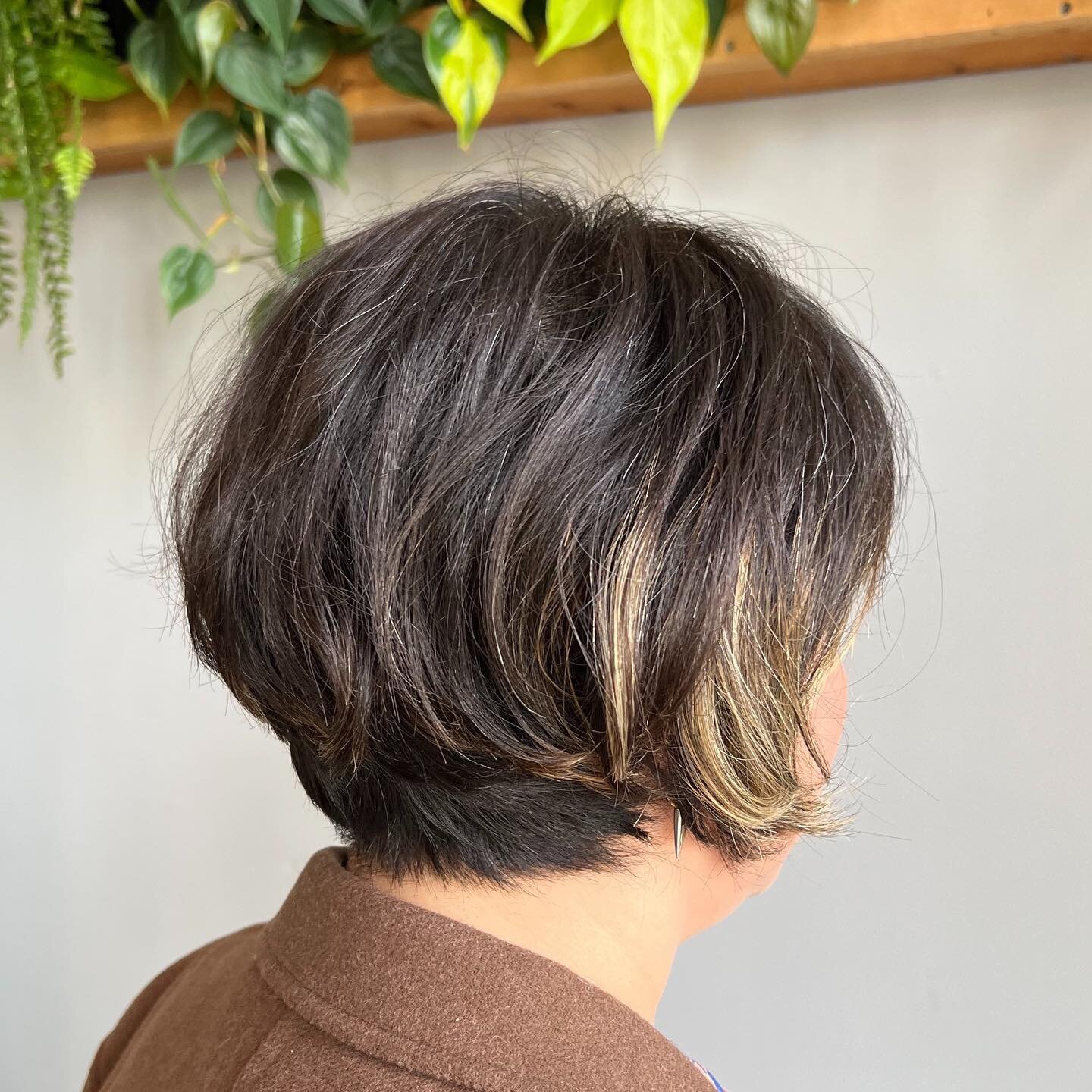 ☀️Who&rsquo;s going short for summer?? Thanks Lorena 🤍🤍🤍 Haircut by  K I M 
&bull;
&bull;
&bull;
&bull;
&bull;
&bull;
#shorthair #shorthairdontcare #bixie #berkeleysalon #bayareasalon #eastbaysalon #davinessalon #sustainablebeauty #shattuckave #go