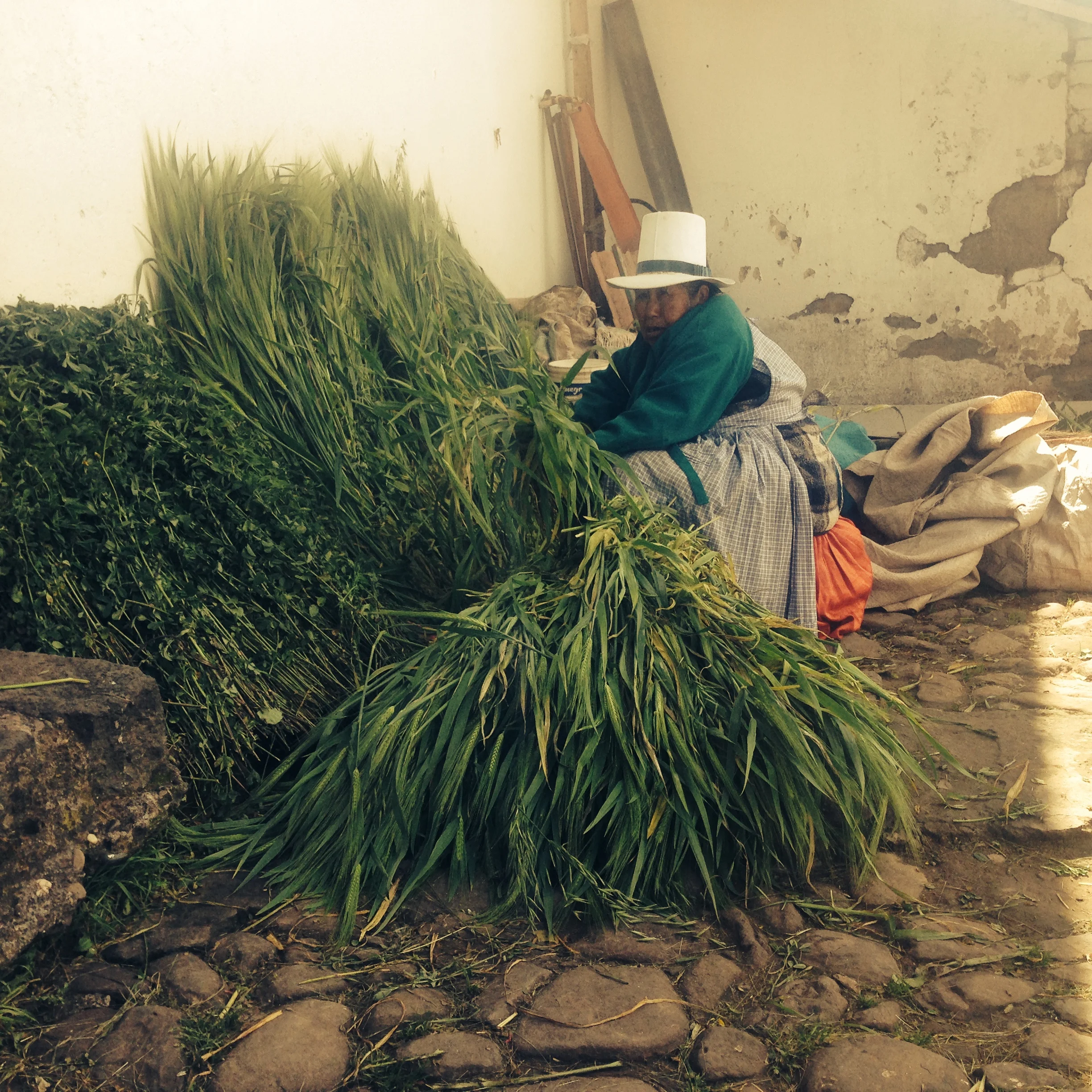 Location: Cusco, Peruvian Andes