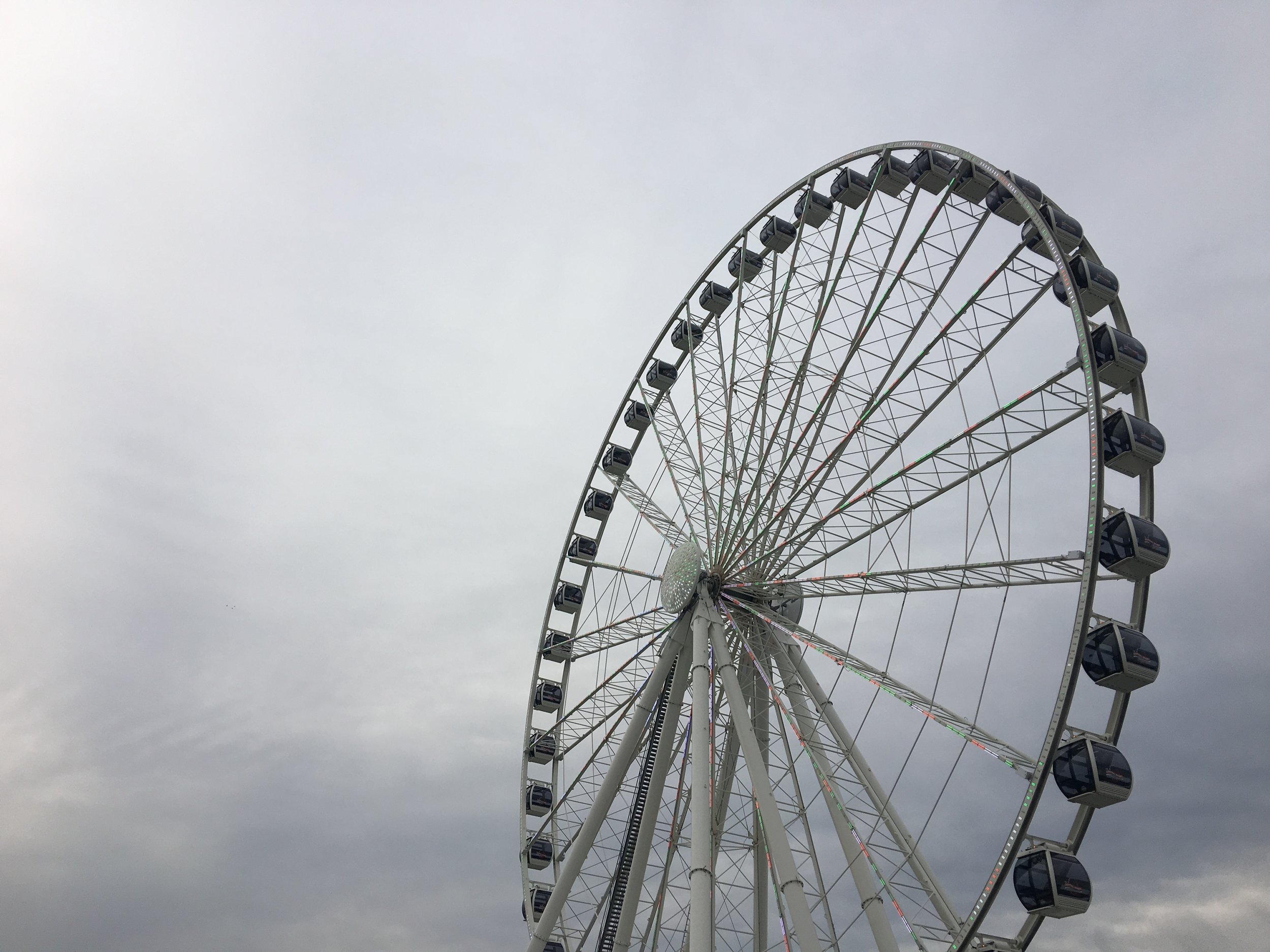 Gray Amusement / 2017