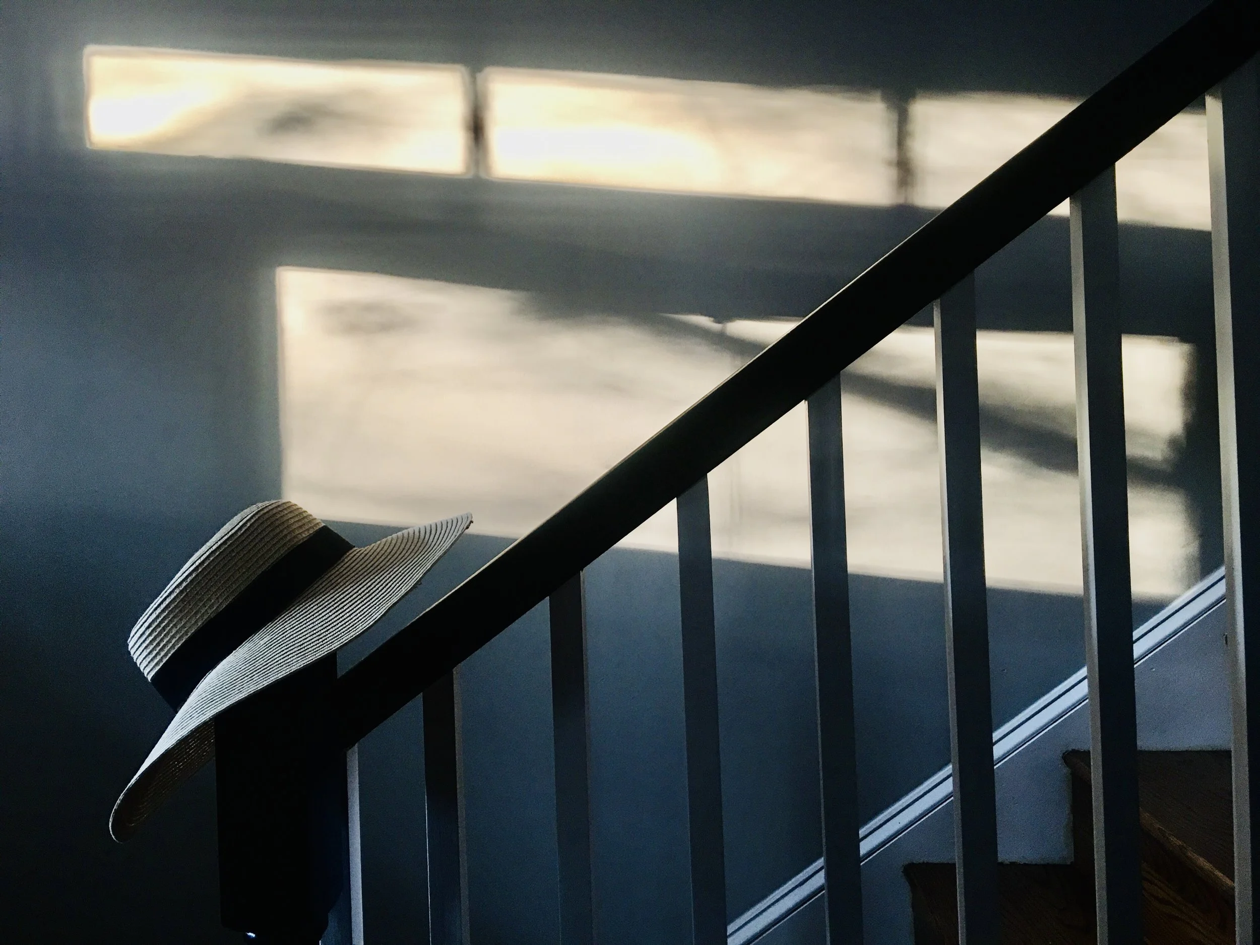 Virtual Exhibit: Lightvisions