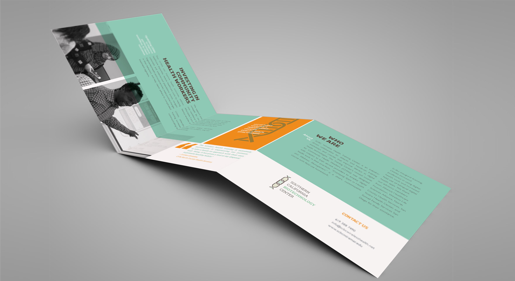 deeproot_brochure1.jpg