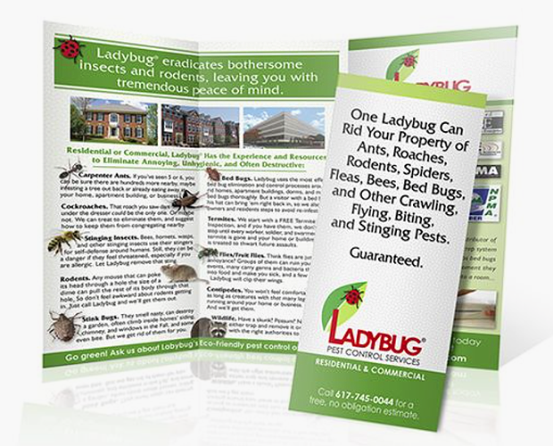 pest control company brochure