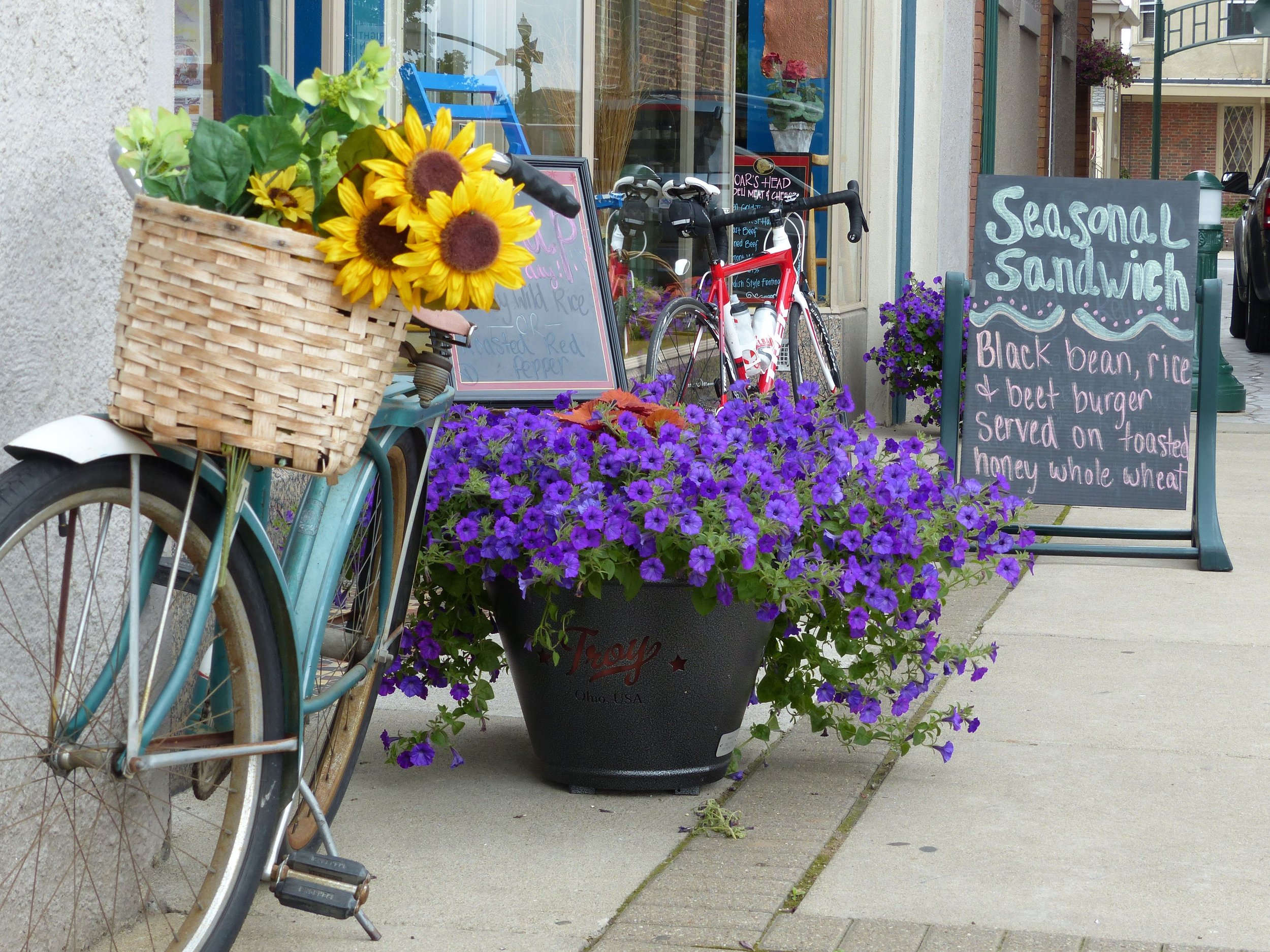 bike and flower pot troy.jpg