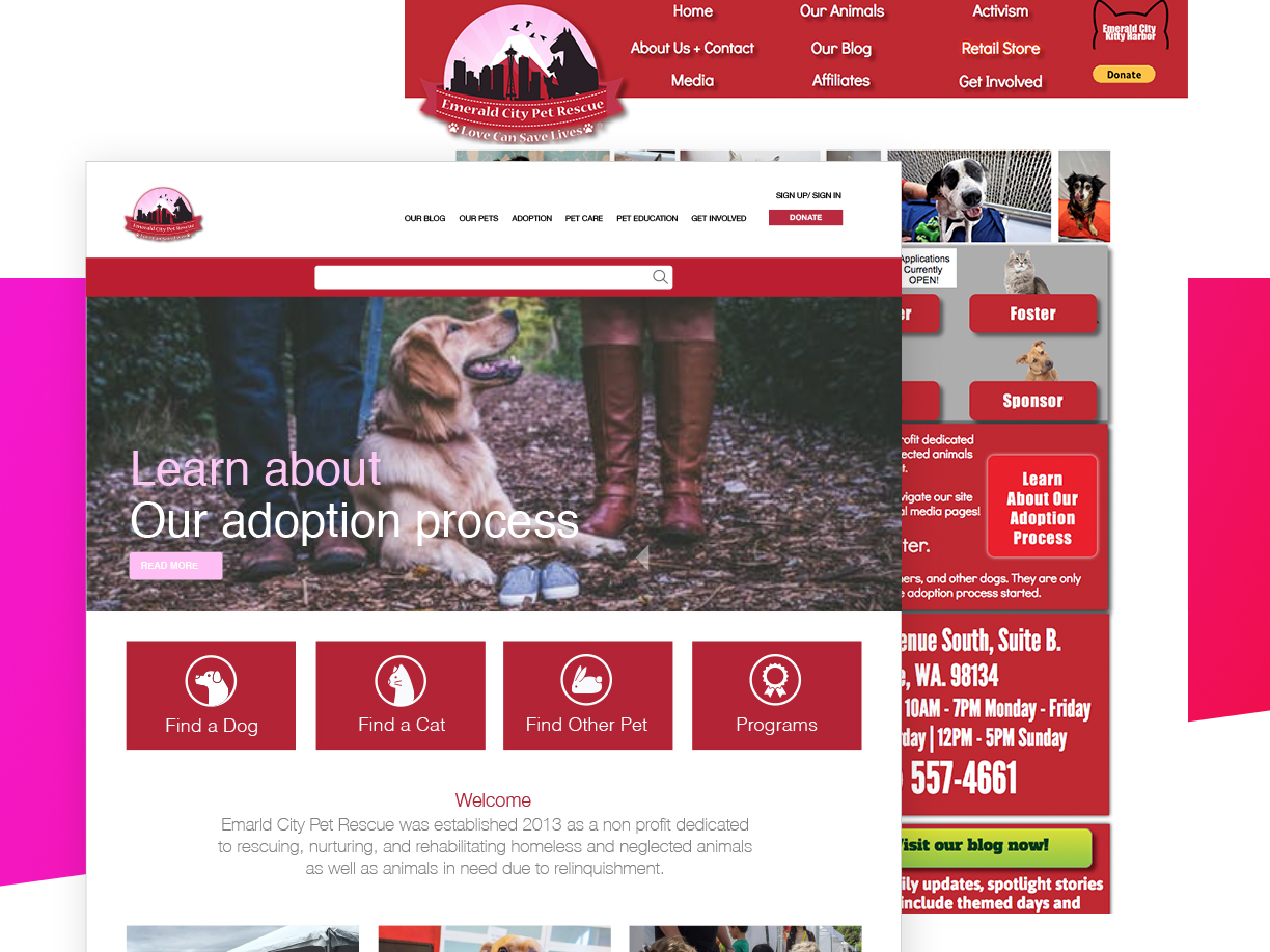 ecpr-websitev8.jpg