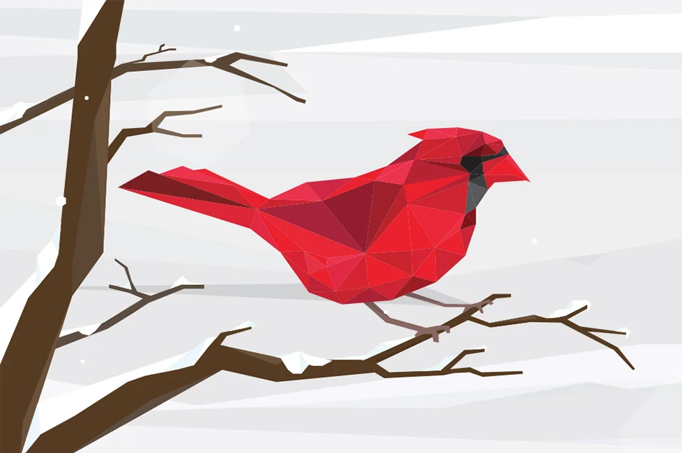 Creative_Lou_Bird.jpg