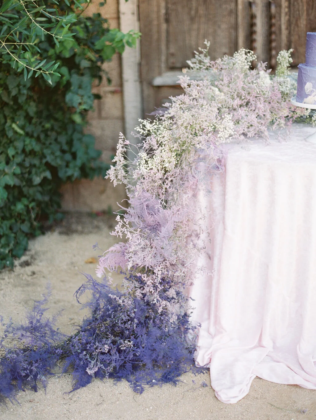 LavenderShoot_MirelleCarmichaelPhotography_201.jpg