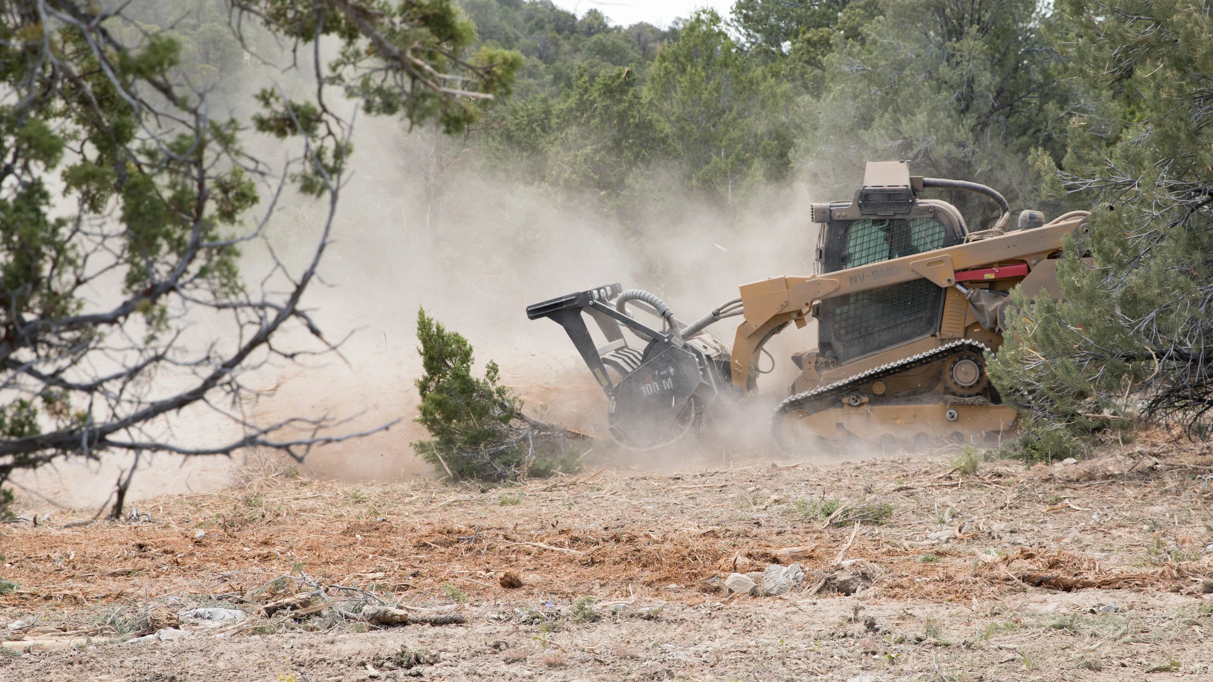 In the foreground, the masticated remains of a pinyon juniper, reduced to chips. In the background, the BLM Battle Mountain District’s masticator operated by Dave Wall. Photo: Johnny Siren, BLM