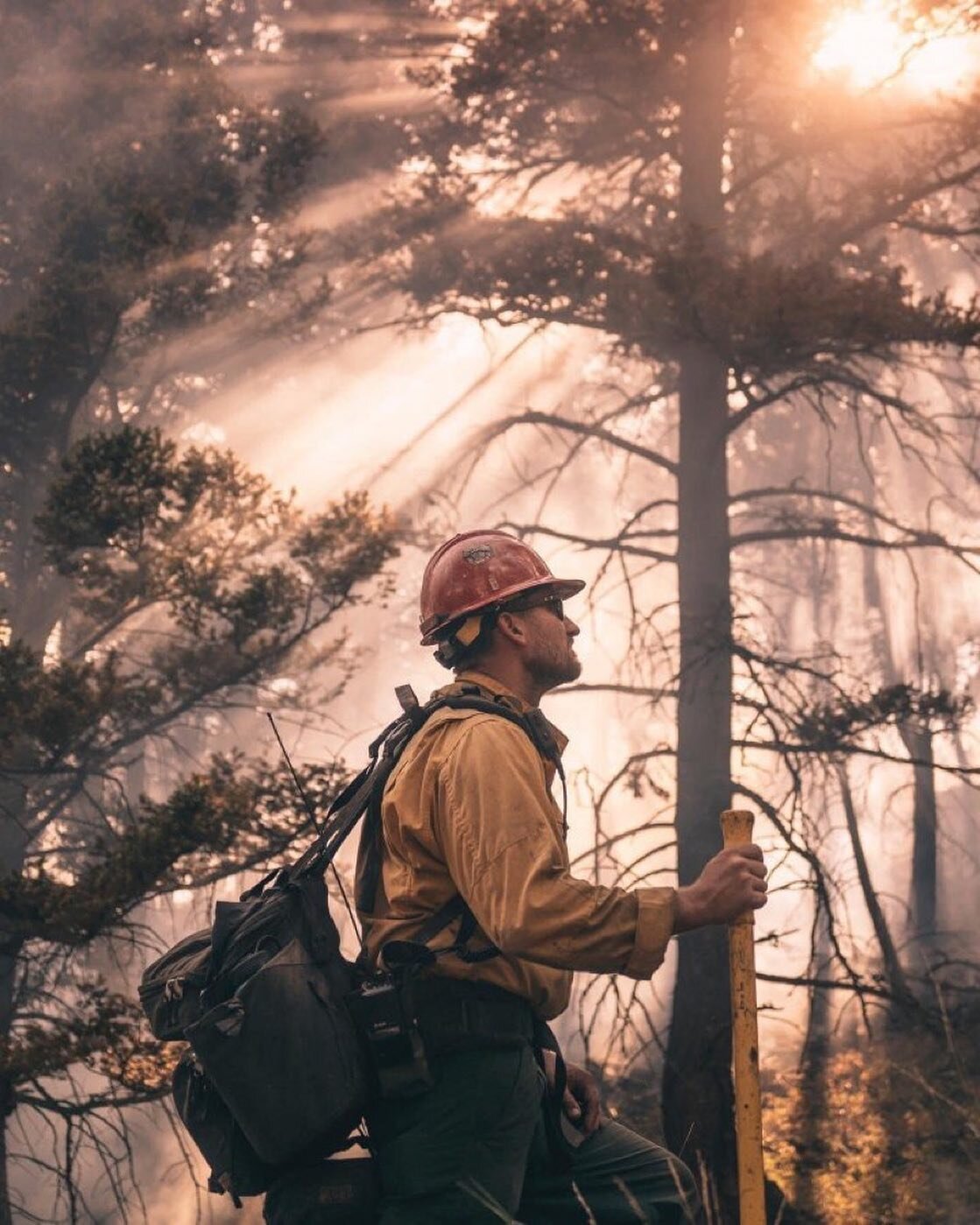 This #LaborDay, we honor and recognize the American labor movement and the work and contributions of laborers everywhere, including our hard working wildland firefighters. 

Photo of the BLM #Wyoming Devils Canyon #VeteransFireCrew on a wildfire in #