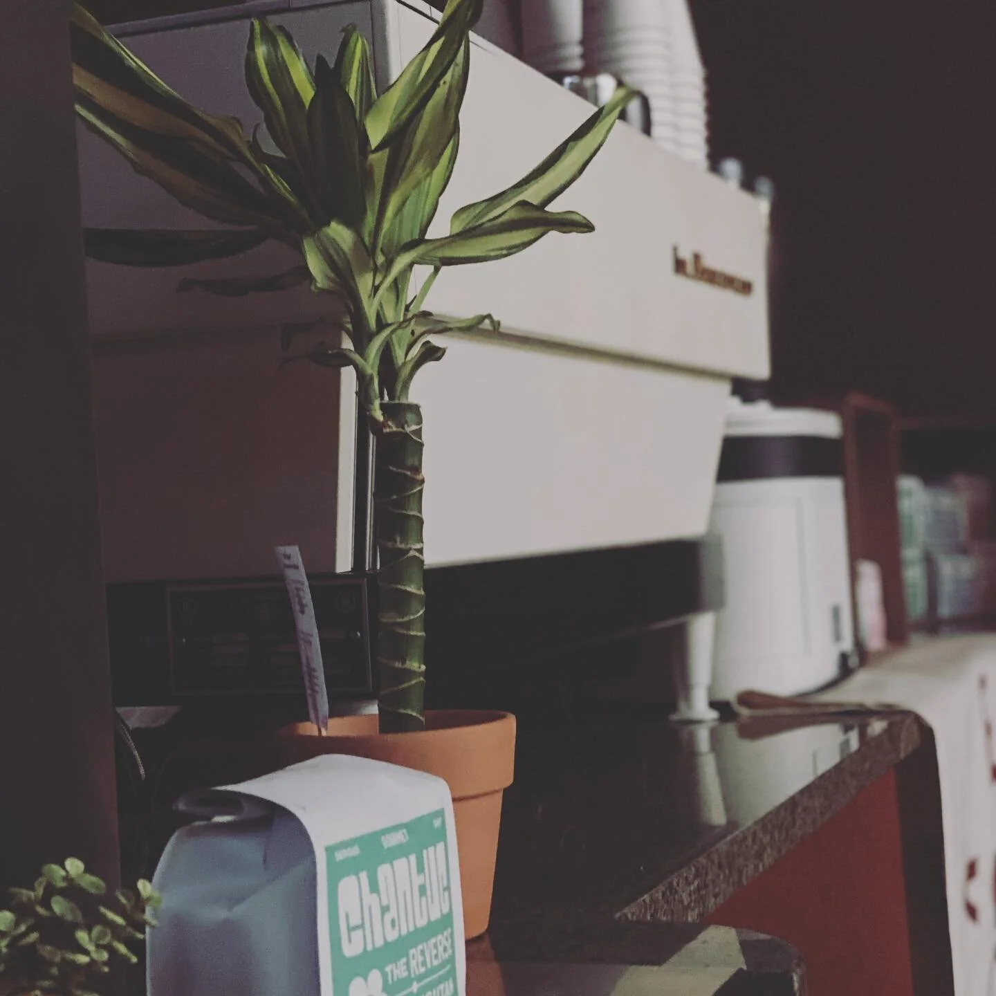 Claremont is open 7am-3pm daily! Stop by and say hello to some of our new team. We have excited menu additions and pop ups being announced this week so stay tuned!
.
.
:
.
.
.
.
.
#claremont #coffee #la #roaster #tro #thereverseorangutan #local #supp