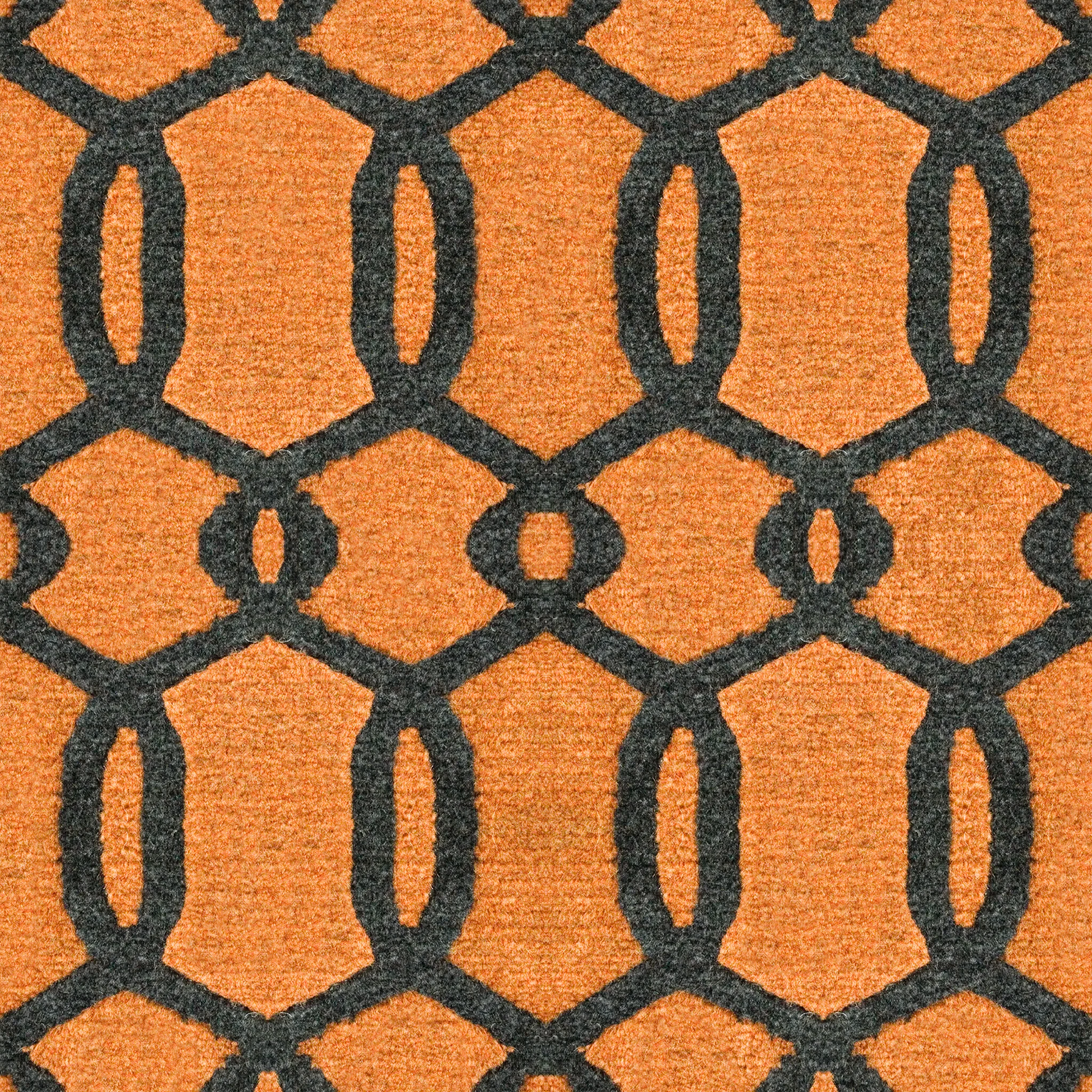 Black Fence Carpet.jpg
