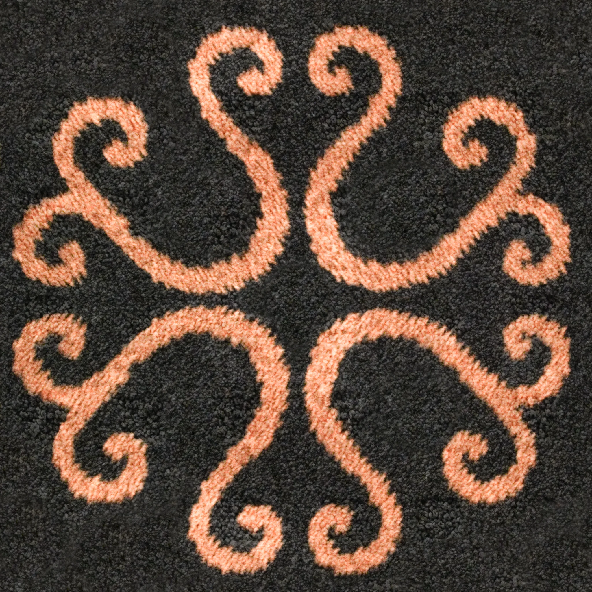 Black Swan Carpet.jpg