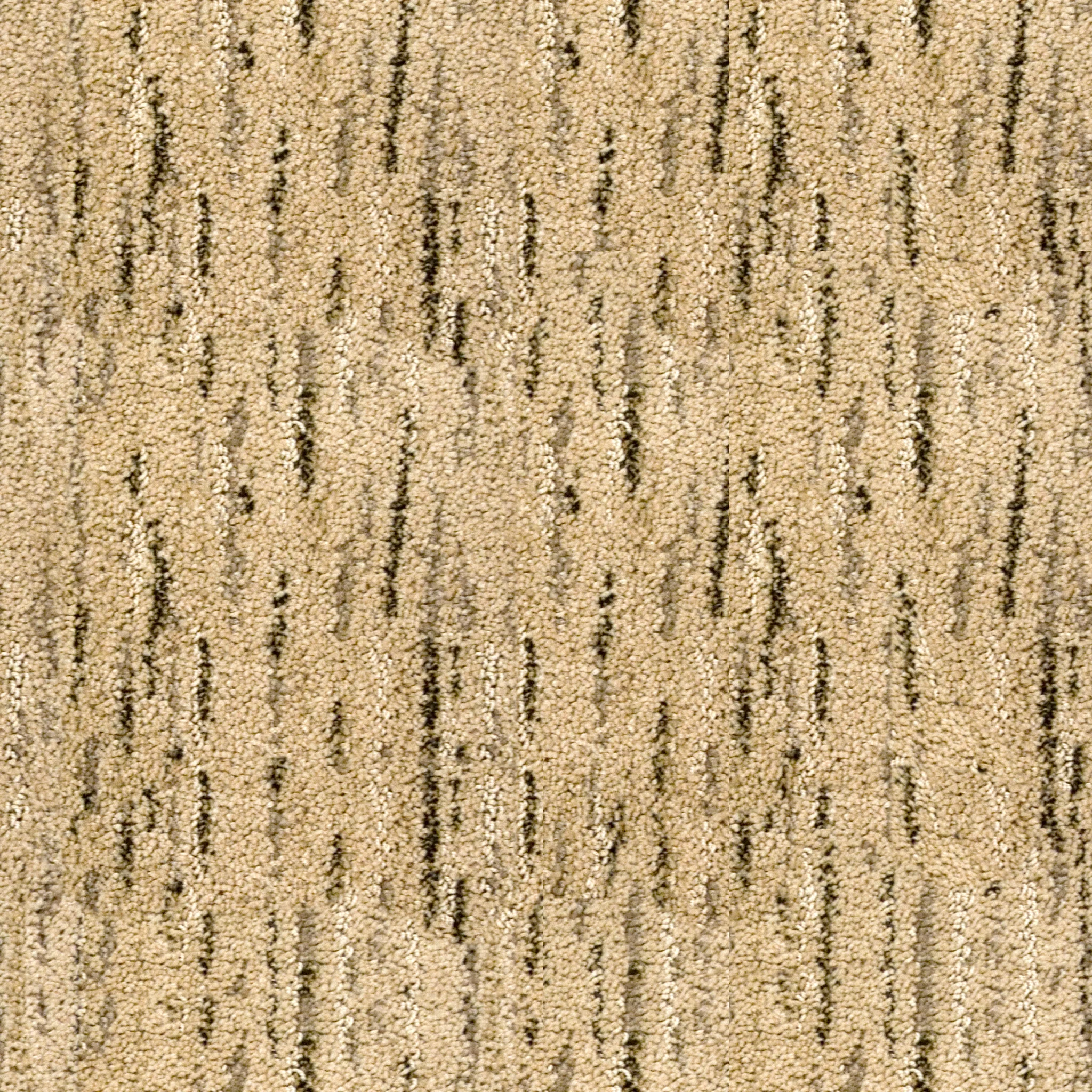 Black Graze Carpet.jpg