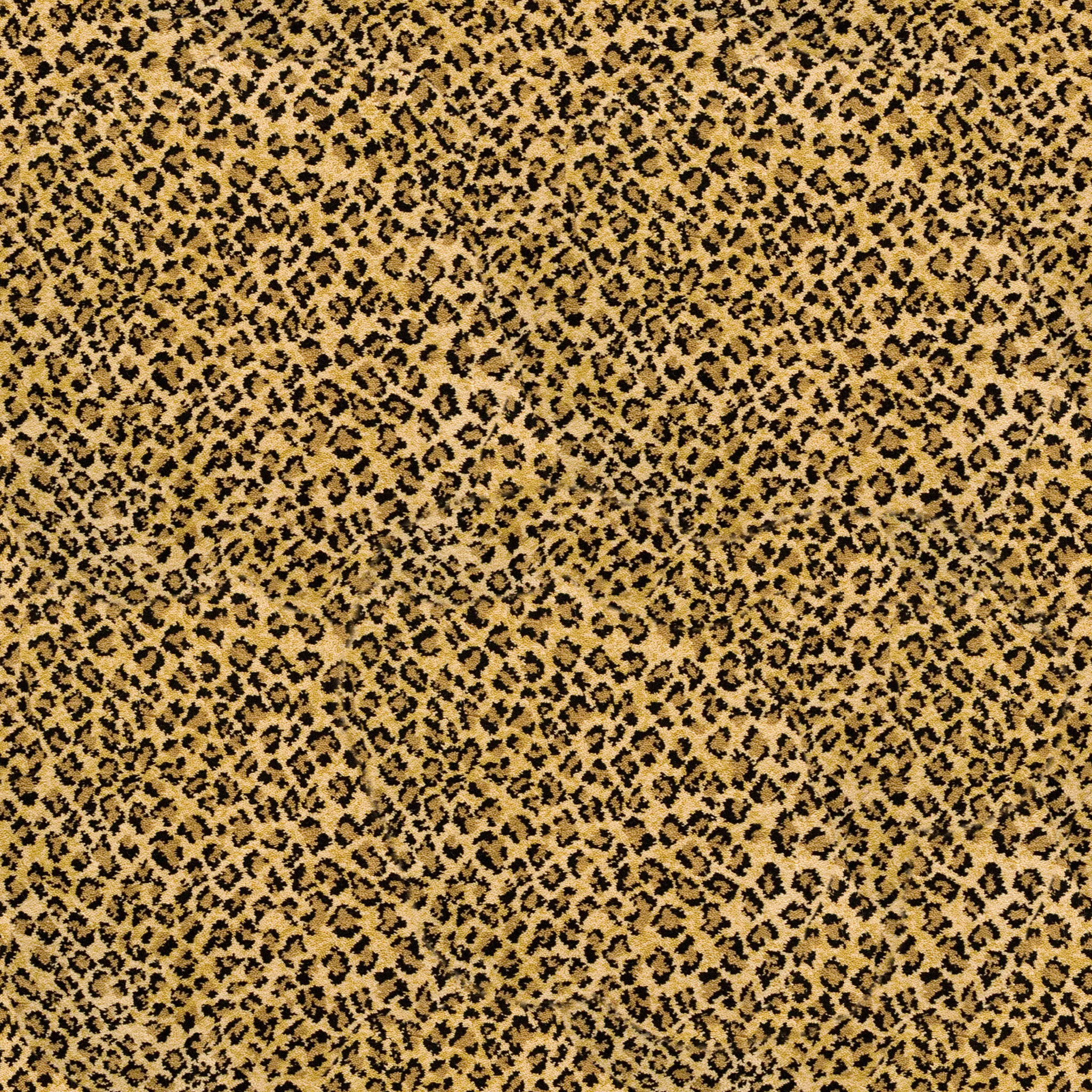 Leopard Skin Carpet.jpg